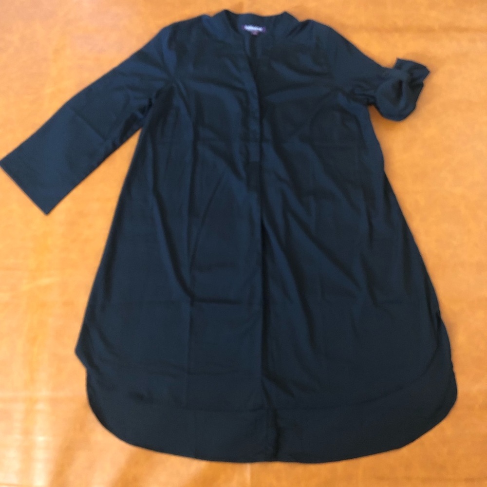 Women’s size 14W shirt dress